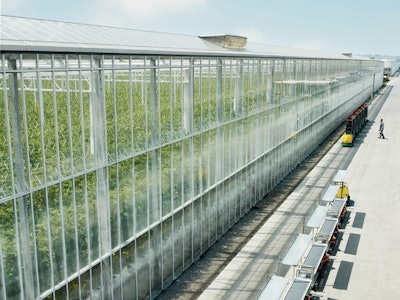 Outside Greenhouse Fmt