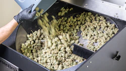 Trimming102816a