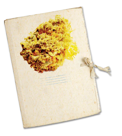 Trimming Dossier Cover Fmt