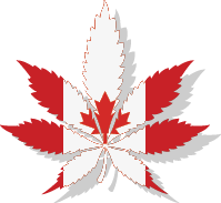 Canadian Marijuana Leaf Fmt