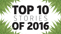 Top101227162