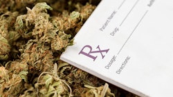 Web Story Main Image Ny New Medical Regulations