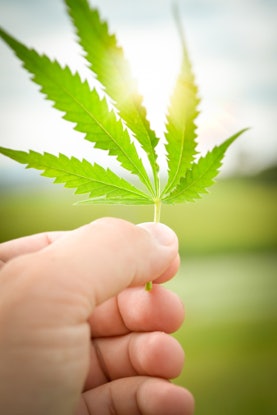 Dreamstime Xxl 46387323 Fmt