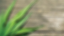 Guest Column Background Fmt