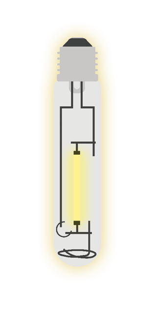 Lit Up Bulb Fmt