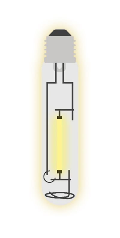 Lit Up Bulb Fmt