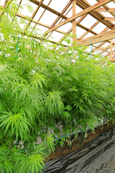 Thinkstock Photos 477309681 Fmt