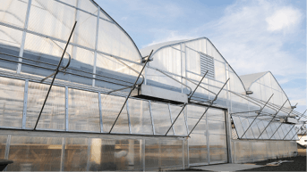 Ggs Pcss Walls With Light Dep Curtains Gives Cannabis Growers The Ability To Control Both Maximum Daylight And Total Darkness Intervals Fmt