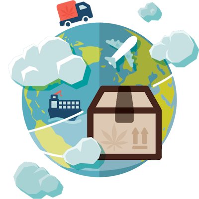 Global Marijuana Fmt