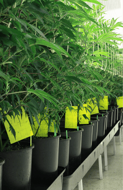 Img 1406 By Mel Frank Fmt