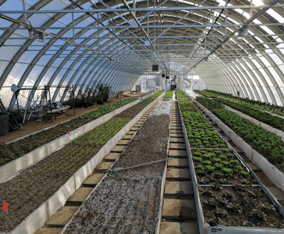 Archsolar Pv Greenhouse Facility Doing Trials On Various Levels Of Pv Shading And Root Zone Heating Tests 3 Fmt