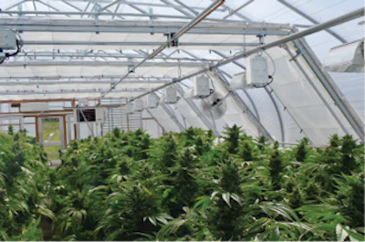 Rimol Greenhouse Systems Cannabis Fmt