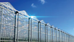Rough Bros Venlo Mmj Greenhouse Fmt