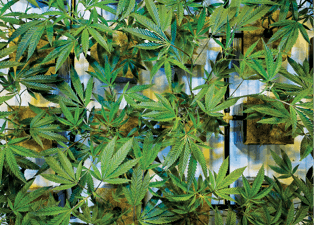 170421 122721 Cmyk Fmt