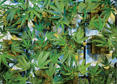 170421 122721 Cmyk Fmt