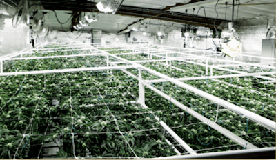 170421 133736 Cmyk Fmt