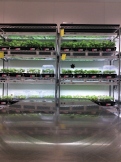 Clone Room In The Grove Fmt