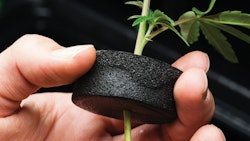 Highlights Pesticides Fmt