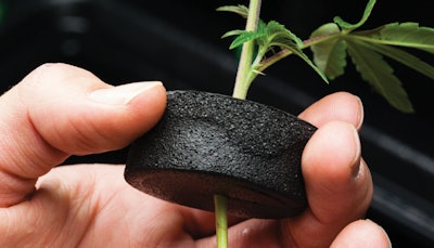 Highlights Pesticides Fmt