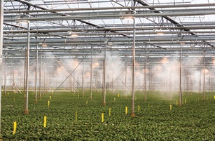 061216 Mjtech Tsf 2934 Fmt