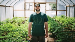 Apollo Grown