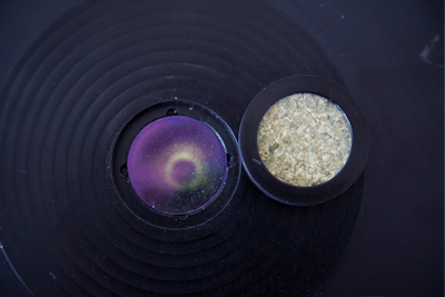 Cannabis Prepared For Potency Testing Steephill Fmt