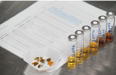 Cannabis Tested At Steephill Fmt