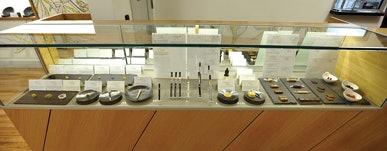 D33 Display Counter Fmt