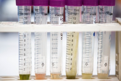 Viles Cannabis Testing Steephilllabs Fmt