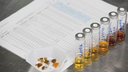 Cannabis Tested At Steephill Fmt