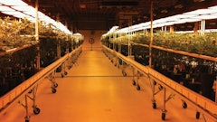 265 D478 D 89 Cb 4 Fa7 A6 B4 A8182 Cbf16 Dd Fmt