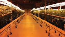 265 D478 D 89 Cb 4 Fa7 A6 B4 A8182 Cbf16 Dd Fmt