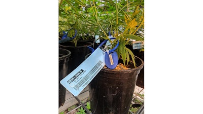 Bluetooth Tracking Resized