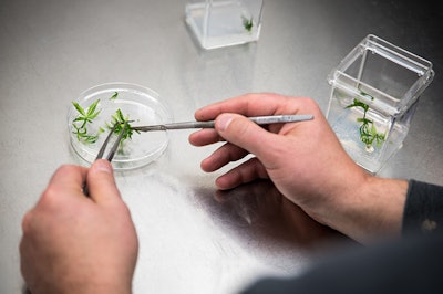 Frb Lab Photo 13 Resized