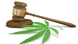 Gavel With Marijuana Leaf Dreamstime Credit David Carillet Resized