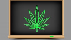 Hemp On Blackboard Dreamstime Credit Romvo Resized