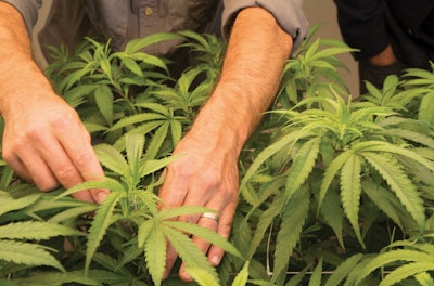 Jackhutch com Guild2017 145 Fmt com Guild2017 145 Fmt