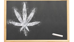 Marijuana Leaf On Chalkboard Dreamstime Credit Trustieee Resized