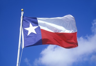 Texas Flag Resized