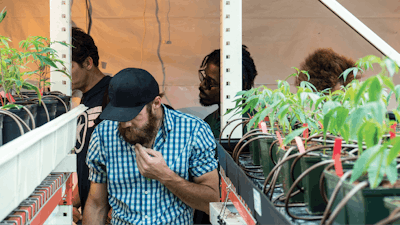 Thc Veteran Intro Fmt