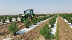 The Inside Scoop On Outdoor Cultivation 2
