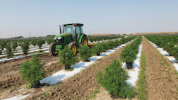 The Inside Scoop On Outdoor Cultivation 2