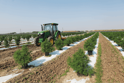 The Inside Scoop On Outdoor Cultivation 2