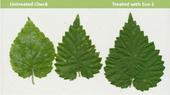 Eco 1 Treatment Web