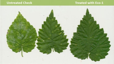 Eco 1 Treatment Web