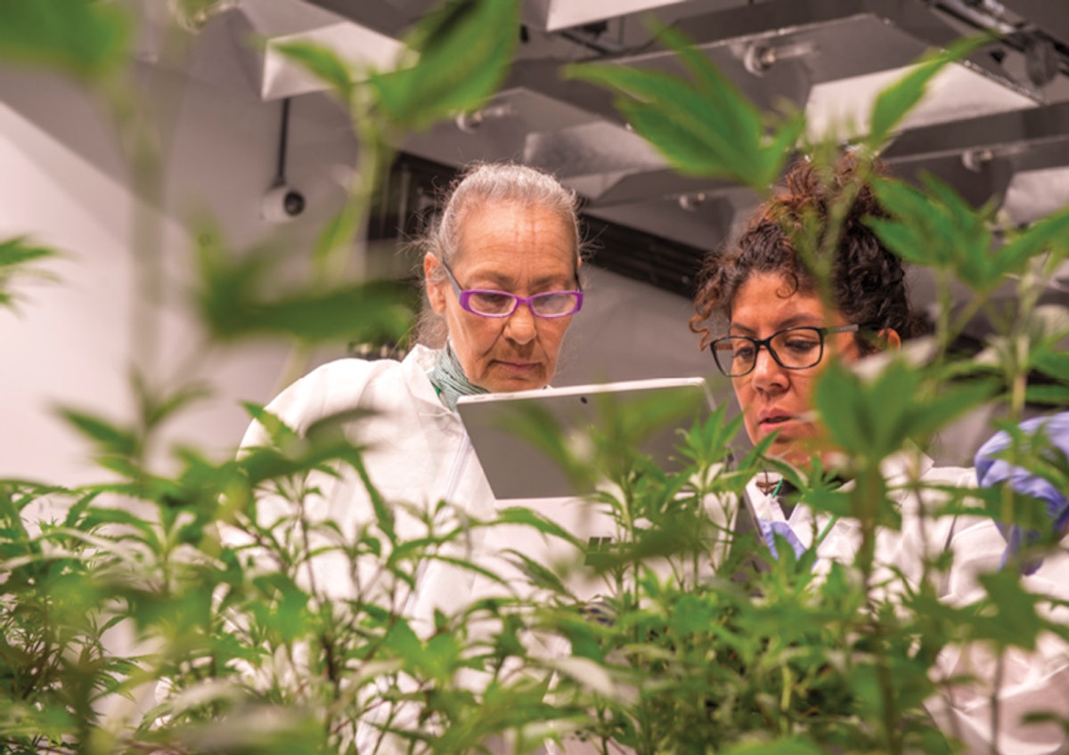 10 Questions with Larry Smith & Shawn Holman | Cannabis