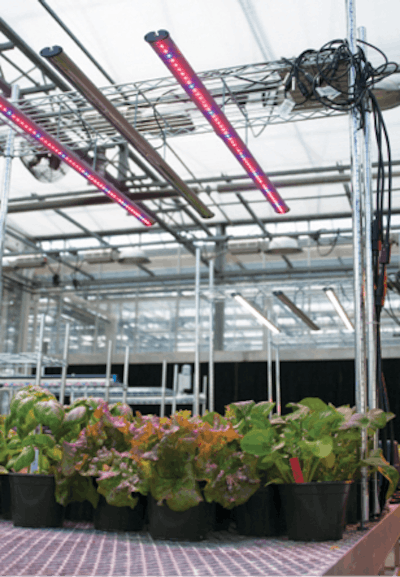 Light Quality And Gh Specialty Crops Fmt