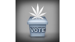 Marijuana Leaf In Vote Box I Stock Credit Wildpixel Resized
