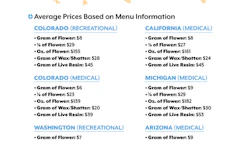 Market Watch Digital Research Fmt