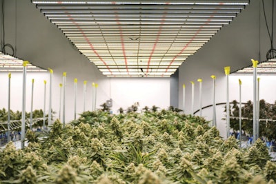 South Grow Fluence2 Fmt